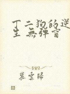 丁二狗的逆袭人生 无弹窗