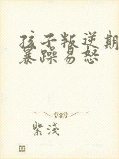 孩子叛逆期脾气暴躁易怒