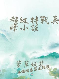 超级特战兵王张峰小说