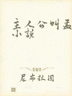 主人公叫孟凡的小说