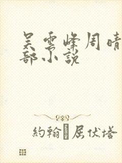 吴云峰周晴是哪部小说