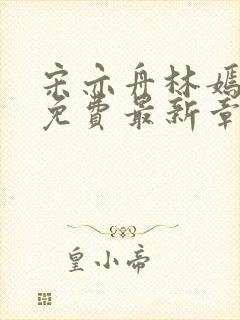 宋亦舟林嫣全文免费最新章节阅读