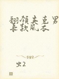 翻领夹克男士中长款风衣