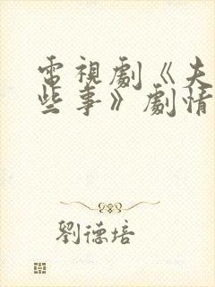 电视剧《夫妻那些事》剧情