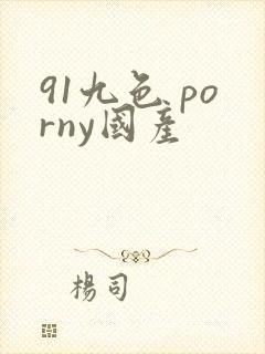 91九色 porny国产