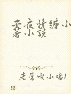 子夜情缠小说原著小说
