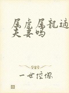 属虎属龙适合做夫妻吗