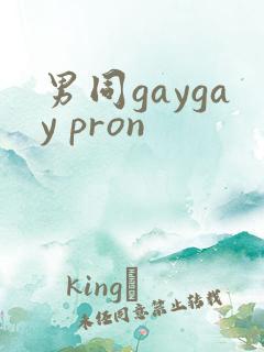 男同gaygay pron