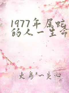 1977年属蛇的人一生命运如何