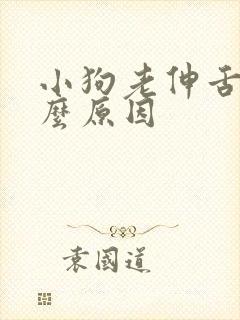 小狗老伸舌头什么原因