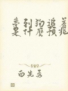 梦到狗追着我咬是什么预兆