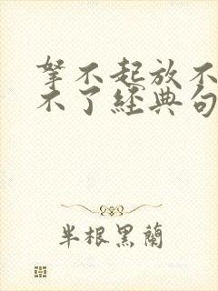 拿不起放不下忘不了经典句子