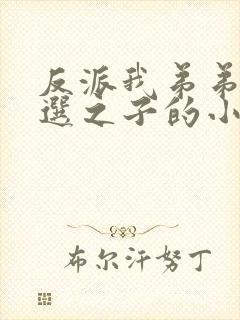 反派我弟弟是天选之子的小说