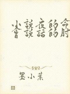小说夜的命名术会说话的肘子完整下载
