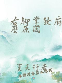 右脚掌发麻是什么原因