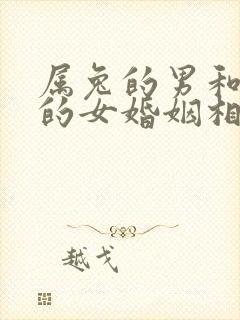 属兔的男和属马的女婚姻相配吗