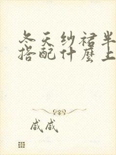 冬天纱裙半身裙搭配什么上衣好看