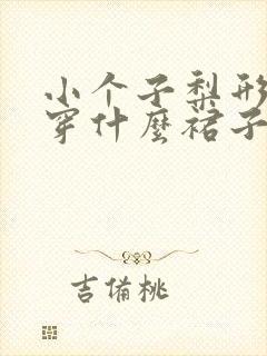 小个子梨形身材穿什么裙子好看