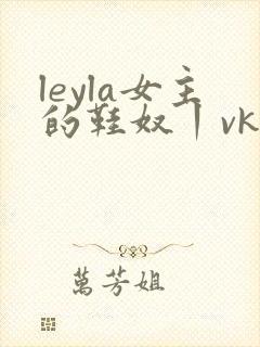 leyla女主的鞋奴丨vk