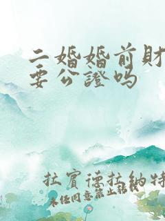 二婚婚前财产需要公证吗