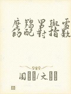 摩羯男与处女女的配对指数