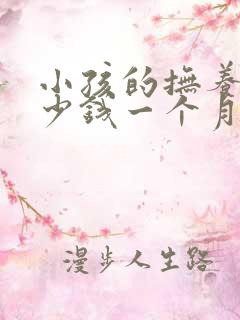 小孩的抚养费多少钱一个月