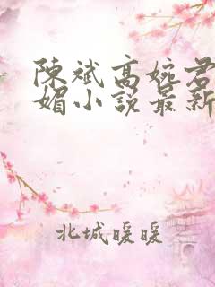 陈斌高婉君赵心媚小说最新章节