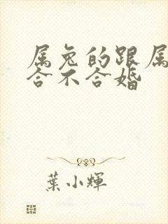 属兔的跟属蛇的合不合婚