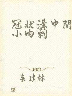 冠状沟中间长个小肉刺