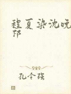 程夏染沈晚棠江祁