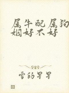 属牛配属狗的婚姻好不好