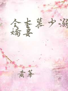 全本慕少溺宠小娇妻