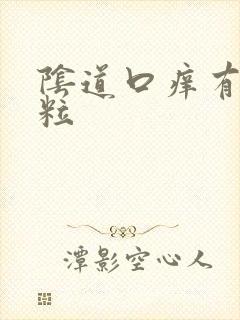 阴道口痒有小肉粒