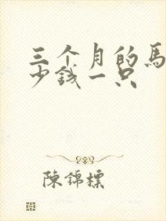 三个月的马犬多少钱一只