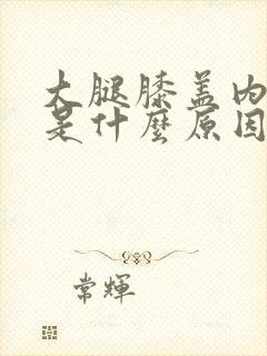 大腿膝盖内侧疼是什么原因