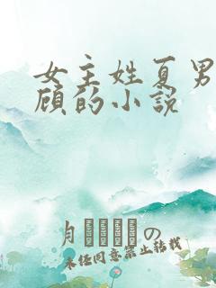 女主姓夏男主姓顾的小说