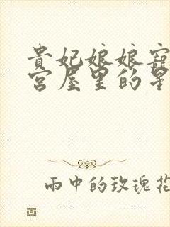 贵妃娘娘宠冠后宫屋里的星星