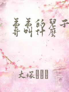 弟弟的儿子叫哥哥叫什么