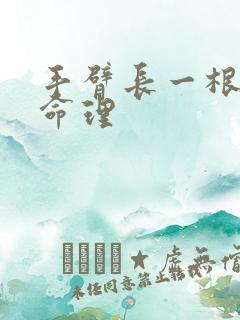 手臂长一根白毛命理