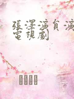 张泽演员演过的电视剧