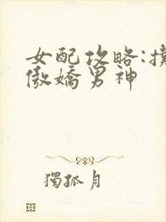 女配攻略:扑倒傲娇男神