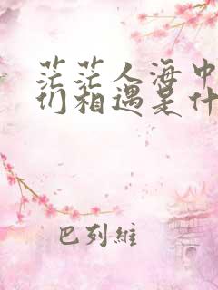 茫茫人海中让我们相遇是什么歌