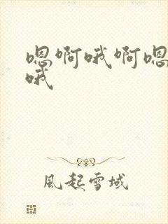 嗯啊哦啊嗯嗯啊哦