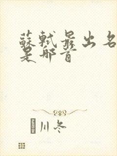 苏轼最出名的诗是哪首