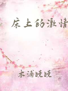 床上的激情视频