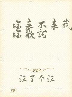 你来不来我都等你歌词