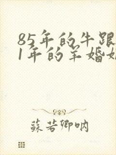 85年的牛跟91年的羊婚姻如何