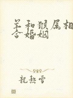 羊和猴属相合不合婚姻