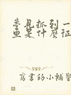 梦见抓到一条鲤鱼是什么征兆