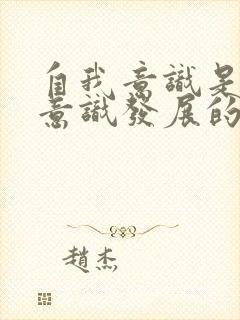 自我意识是个体意识发展的哪个阶段